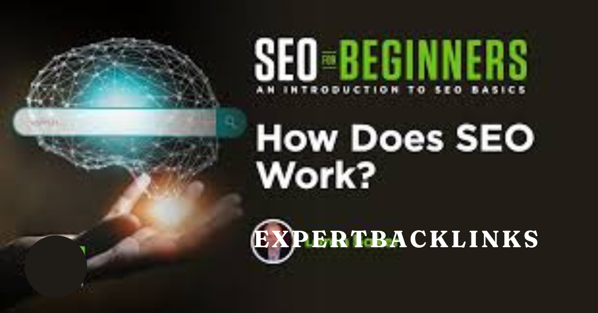 guide - What is SEO and how does SEO work?
